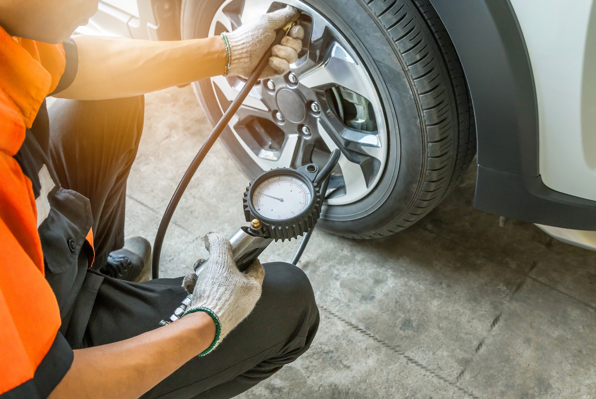 TYRERIGHT PALMERSTON