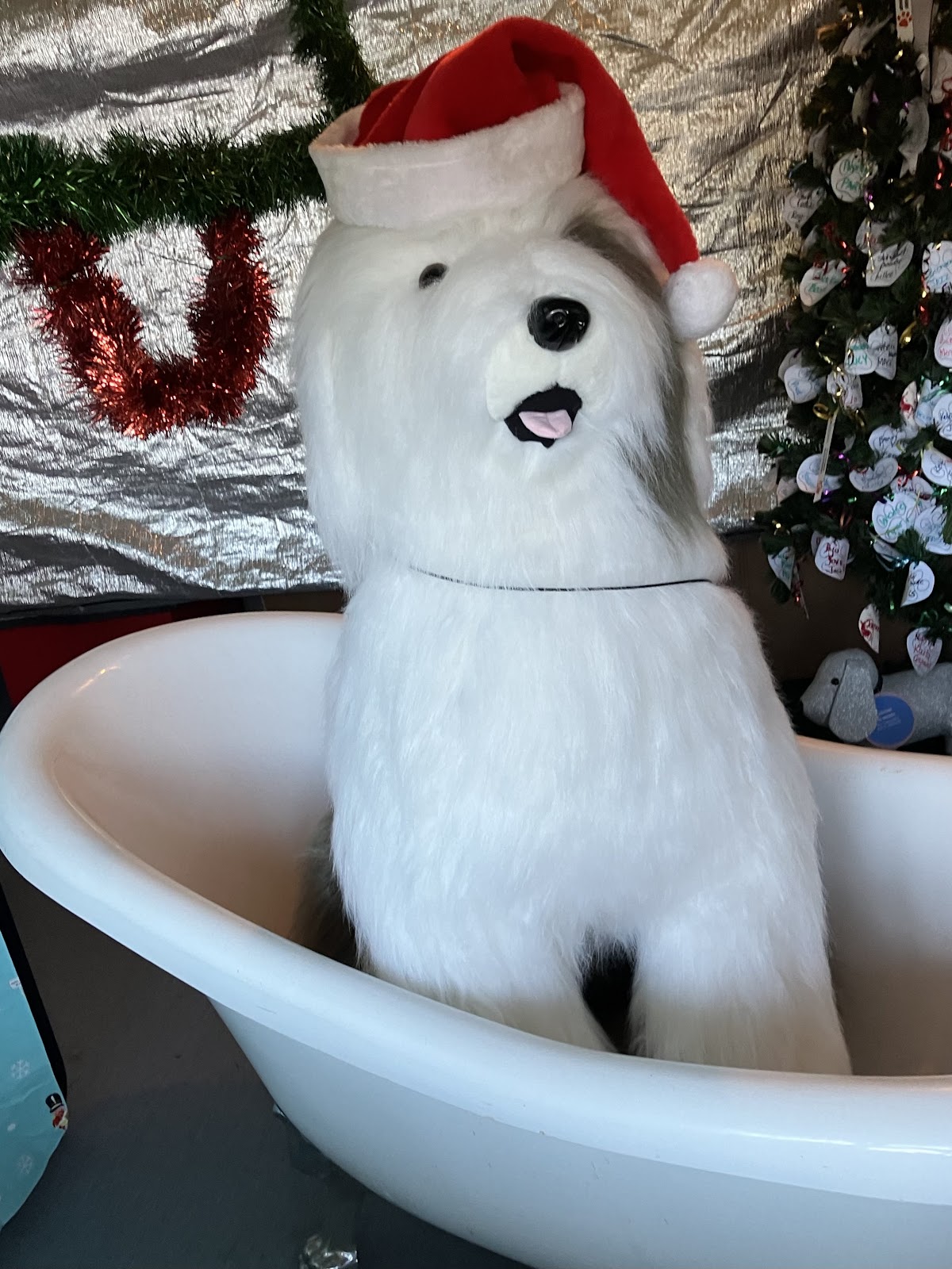 Jamestown Dog Groomer