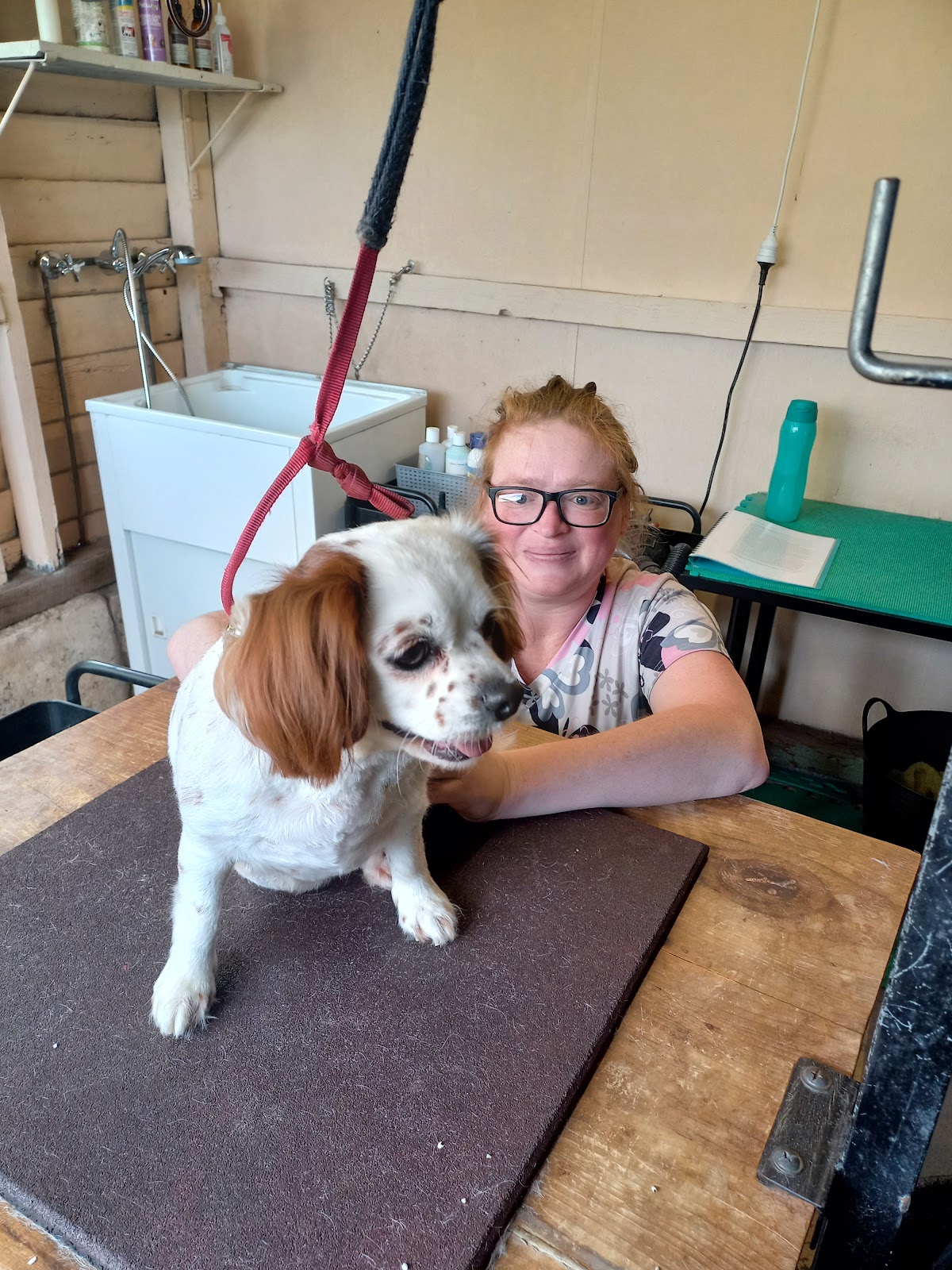The Pampered Pup Salon