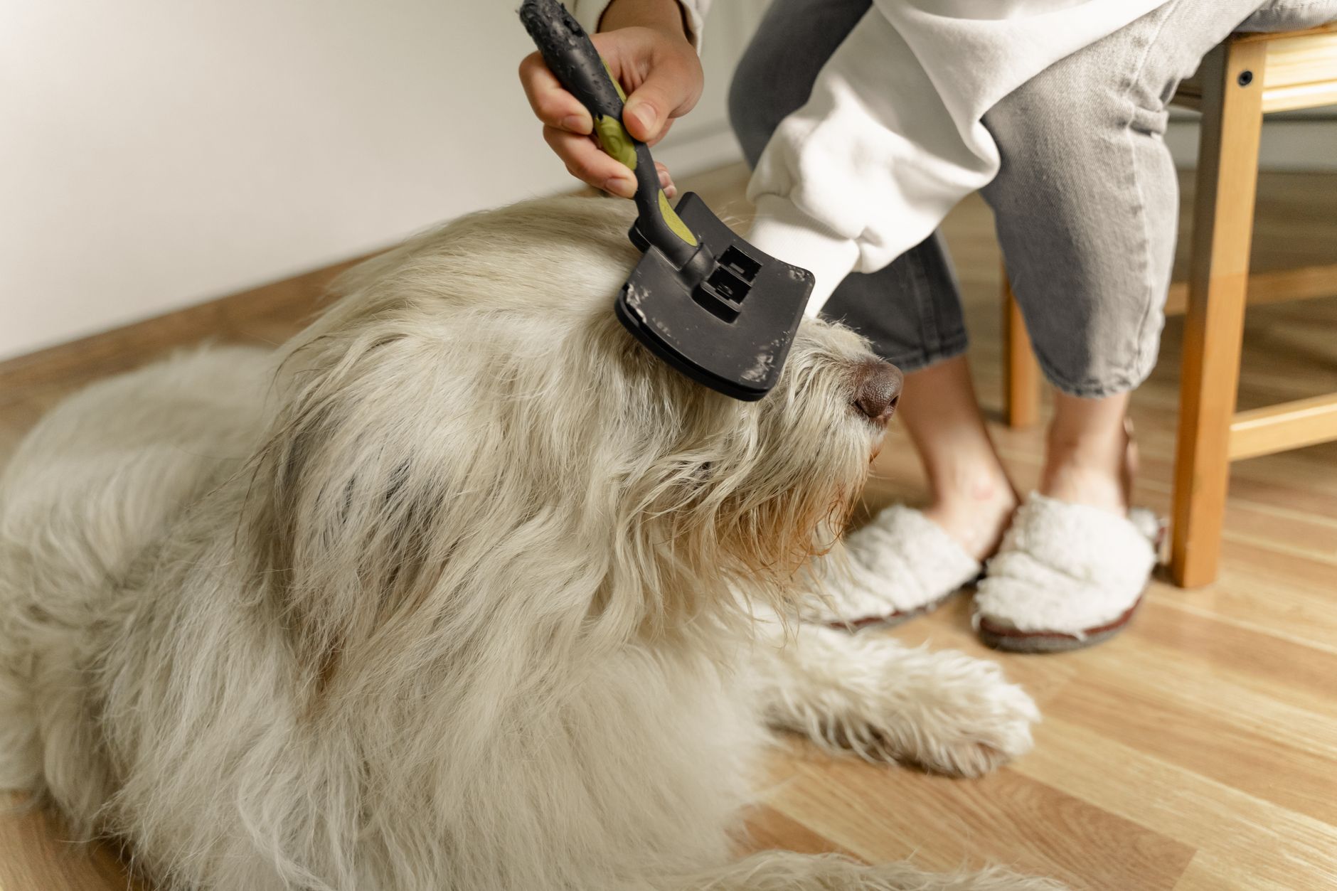 Louise's Grooming Rooms
