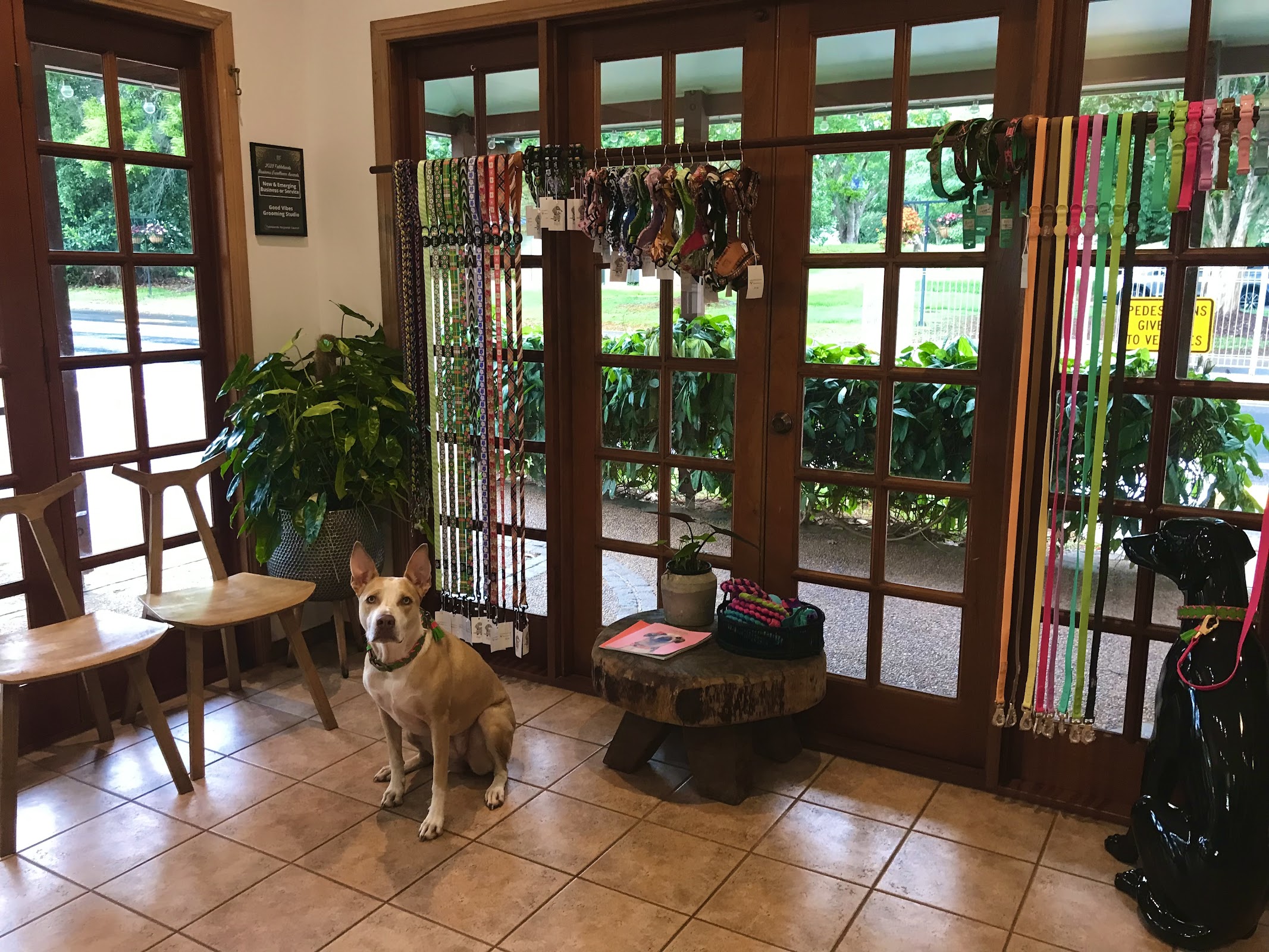 Good Vibes Grooming Studio — Pet Groomers
