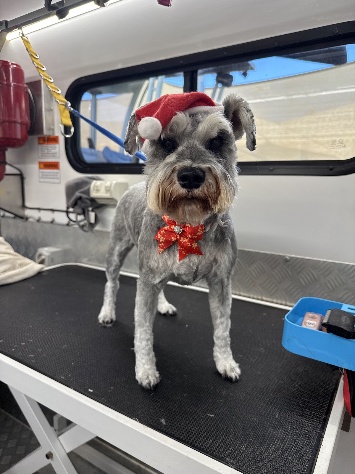 The Reef Bubbles and Barks - Mobile Dog Groomer
