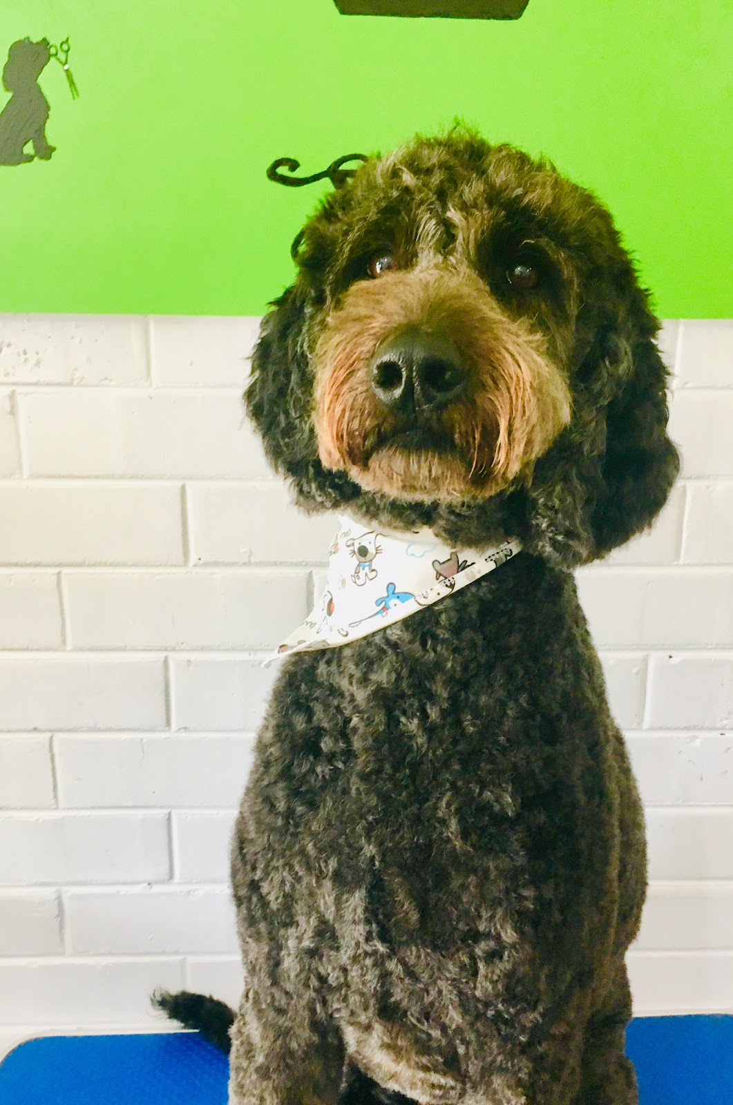 Groomers In The Heart
